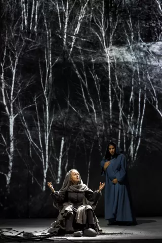 L'Annonce faite à Marie Une femme habillée en gris, assise, lève les bras. Un personnage habillé en bleu, semblant tenir un enfant, s'approche doucement par l'arrière. Le décor montre des vidéos d'arbres projetés, en noir et blanc.